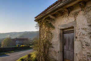 Les hirondelles ne reviennent plus dans certains villages depuis 10 ans : et personne ne sait exactement pourquoi